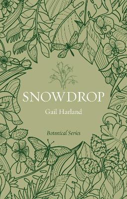 Snowdrop by Gail Harland