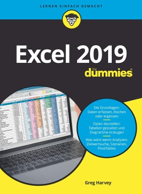 Excel 2019 für Dummies book