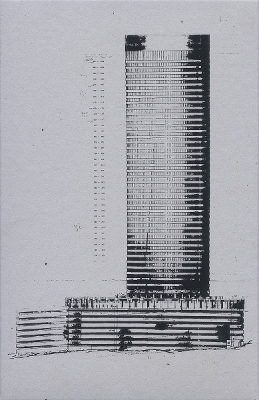 Subotzky, Waterhouse: Ponte City book