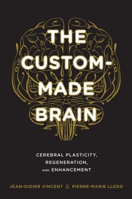 The Custom-Made Brain: Cerebral Plasticity, Regeneration, and Enhancement book