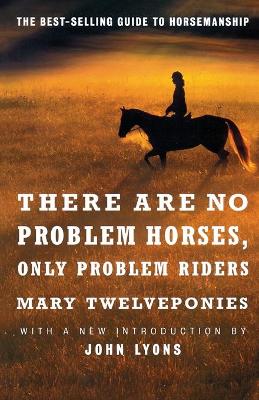 There are No Problem Horses, Only Problem Riders by Mary Twelveponies