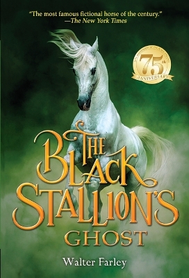 Black Stallion's Ghost book