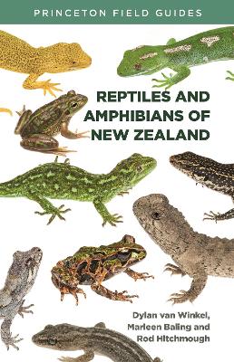 Reptiles and Amphibians of New Zealand book