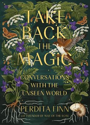 Take Back the Magic: Conversations with the Unseen World book