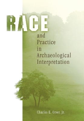 Race and Practice in Archaeological Interpretation book