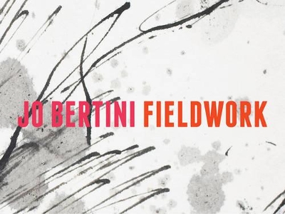 Jo Bertini Fieldwork book