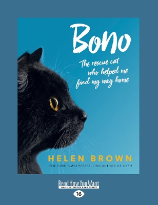 Bono by Helen Brown