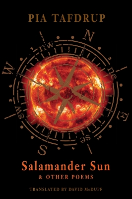 Salamander Sun and Other Poems book