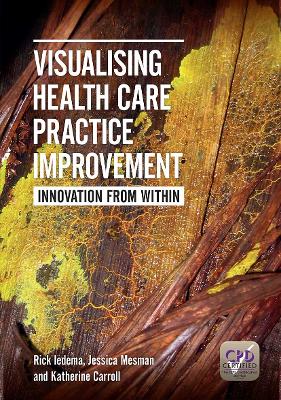 Visualising Health Care Practice Improvement by Rick Iedema