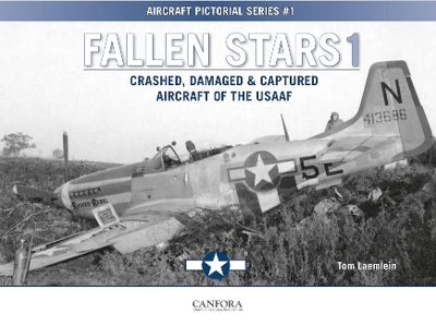 Fallen Stars 1: Crashed, Damaged & Captured Aircraft of the USAAF book