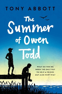 Summer of Owen Todd book