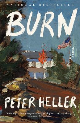 Burn: A Novel book