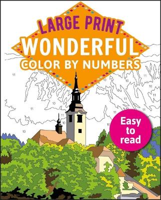Large Print Wonderful Color by Numbers: Easy to Read book