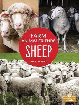 Sheep book