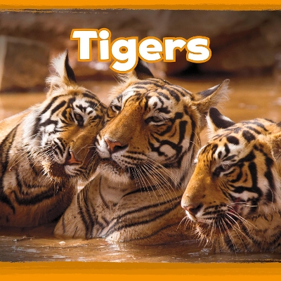 Tigers by Kathryn Clay