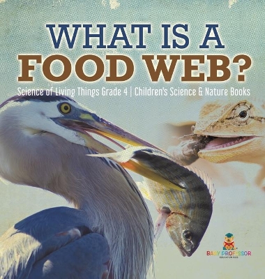 What is a Food Web? Science of Living Things Grade 4 Children's Science & Nature Books book