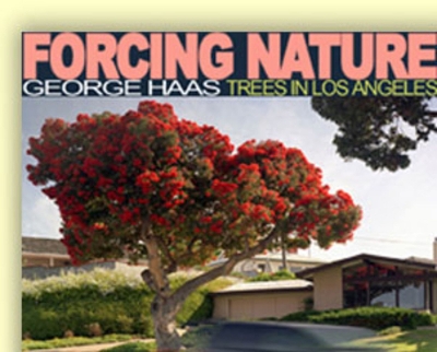 Forcing Nature: Tree in Los Angeles book