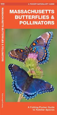 Massachusetts Butterflies & Pollinators: A Folding Pocket Guide to Familiar Species by James Kavanagh