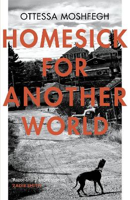 Homesick For Another World book