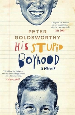 His Stupid Boyhood: A Memoir book