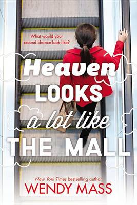 Heaven Looks a Lot Like the Mall book