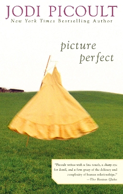 Picture Perfect by Jodi Picoult