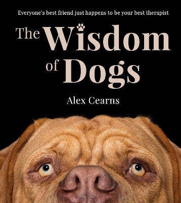 The Wisdom Of Dogs: The adorable and funny new book from the photographer behind the bestselling QUOKKA'S GUIDE TO HAPPINESS and ZEN DOGS book