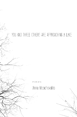 You and Three Others Are Approaching a Lake book
