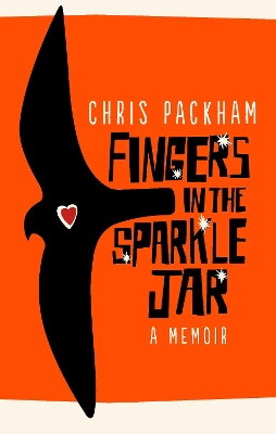 Fingers in the Sparkle Jar book