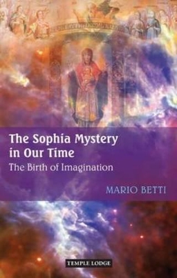 Sophia Mystery in Our Time book