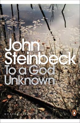 To a God Unknown by Mr John Steinbeck