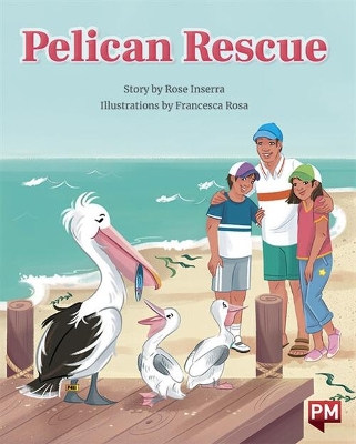 Pelican Rescue book