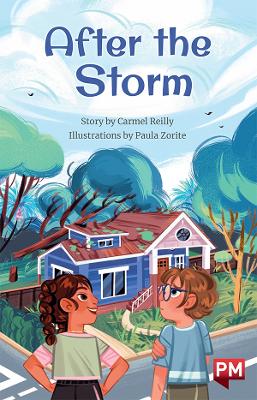 After the Stormn book