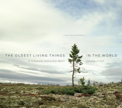 Oldest Living Things in the World by Rachel Sussman