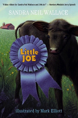 Little Joe book