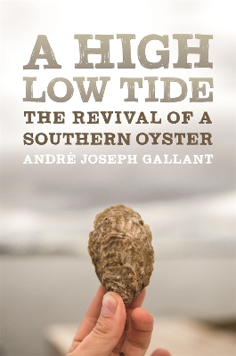 A High Low Tide: The Revival of a Southern Oyster book