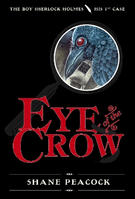 Eye Of The Crow book