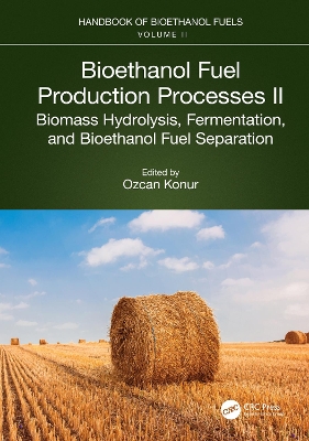 Bioethanol Fuel Production Processes. II: Biomass Hydrolysis, Fermentation, and Bioethanol Fuel Separation book