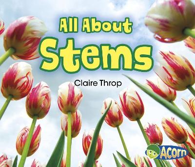 All about Stems by Claire Throp