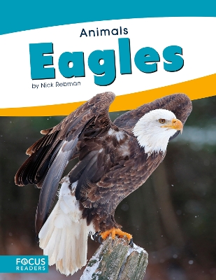 Eagles book