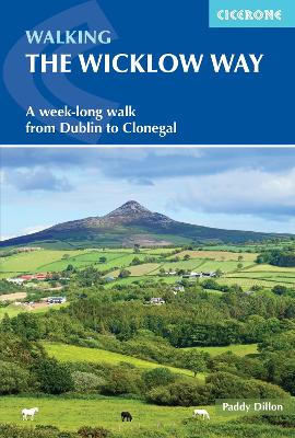 Walking the Wicklow Way: A week-long walk from Dublin to Clonegal book