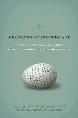 Remnants of Another Age book