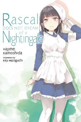 Rascal Does Not Dream of a Nightingale (light novel) book