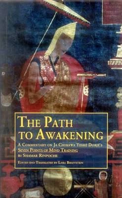 Path to Awakening book