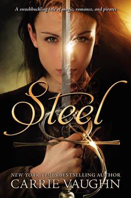 Steel book