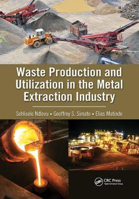 Waste Production and Utilization in the Metal Extraction Industry book