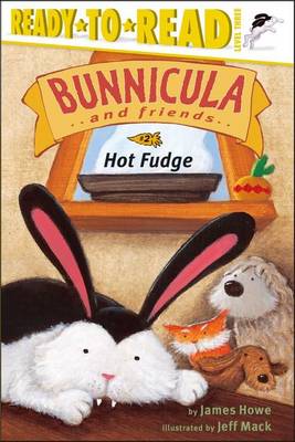 Hot Fudge book