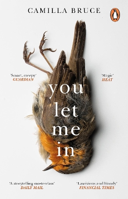 You Let Me In: The acclaimed, unsettling novel of haunted love, revenge and the nature of truth book