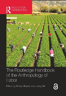 The Routledge Handbook of the Anthropology of Labor book