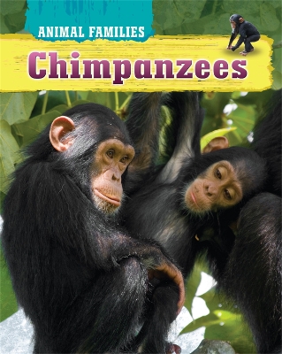 Animal Families: Chimpanzees book